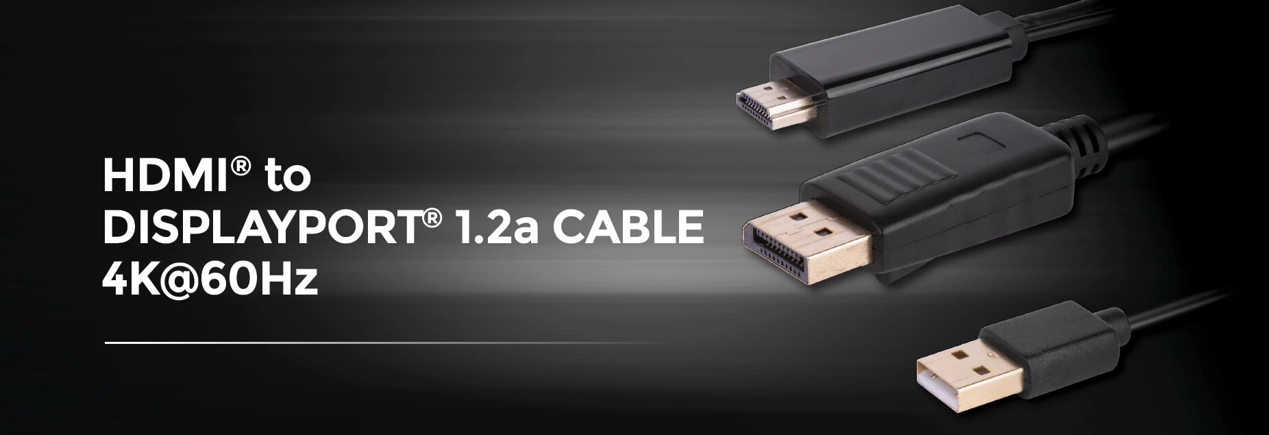 HDMI to DisplayPort Cable