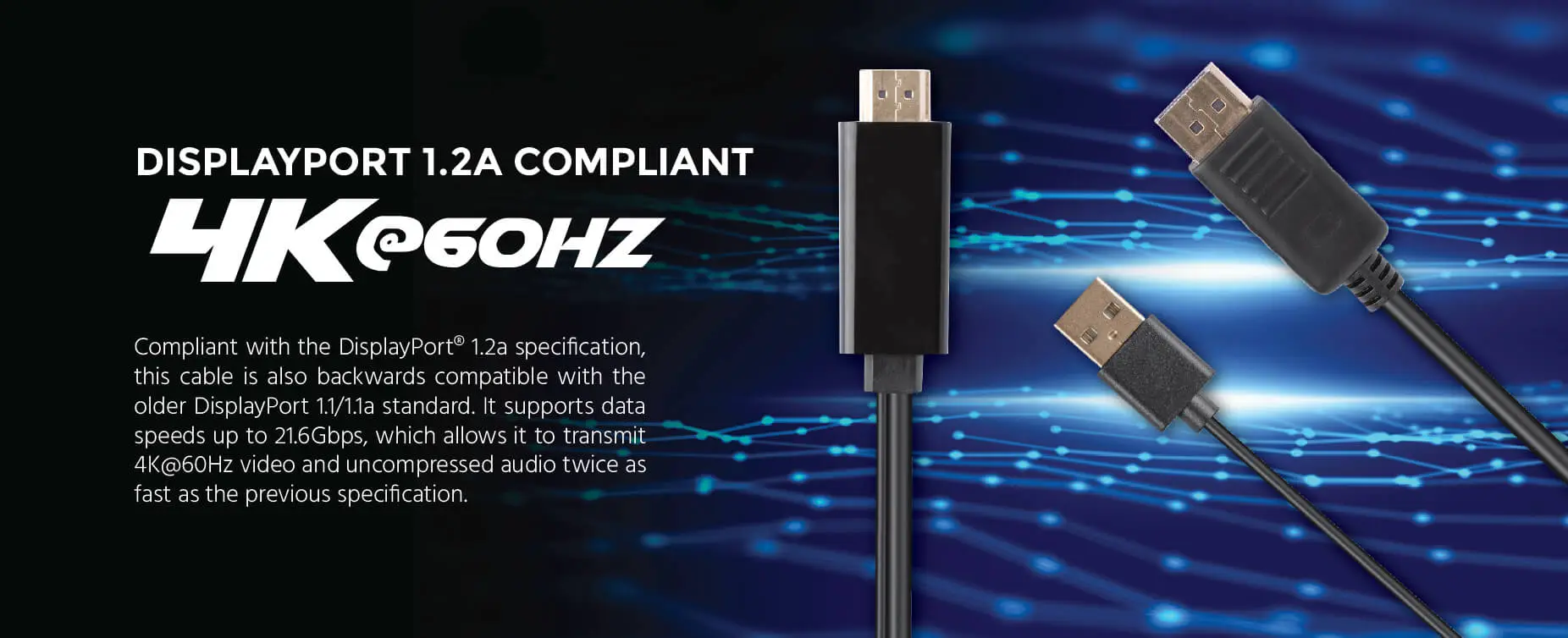 HDMI to DisplayPort Cable